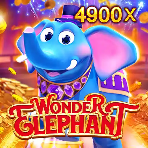 WONDER ELEPHANT