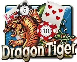 DRAGON TIGER