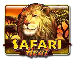 SAFARI HEAT