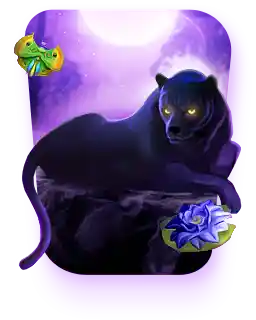 Panther Moon